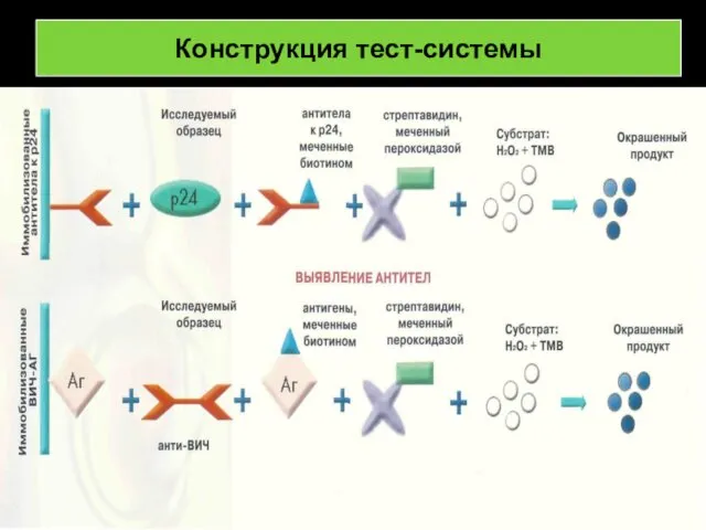 Конструкция тест-системы