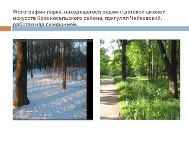 Фотографии парка, находящегося рядом с детской школой искусств Красносельского района, где гулял Чайковский, работая над симфонией.