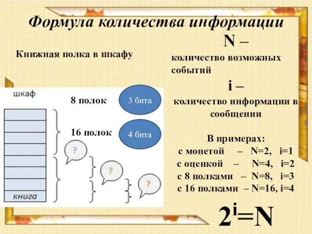 Книжная полка в шкафу 3 бита 8 полок 4 бита