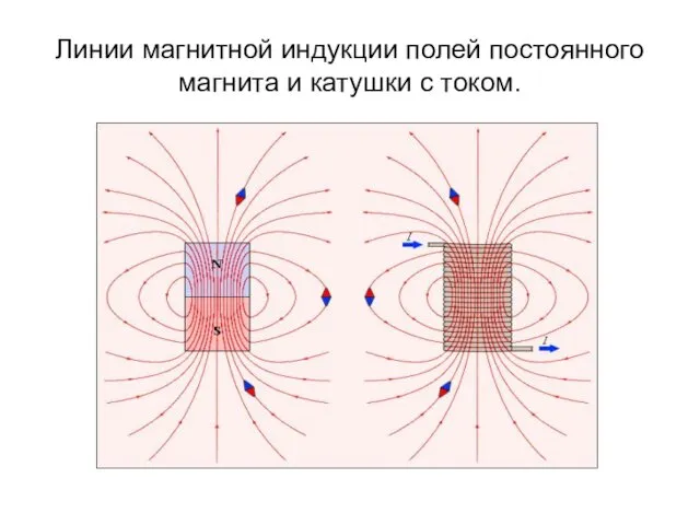 Линии магнитной индукции полей постоянного магнита и катушки с током.