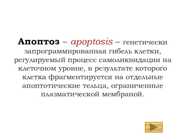 Апоптоз – apoptosis – генетически запрограммированная гибель клетки, регулируемый процесс