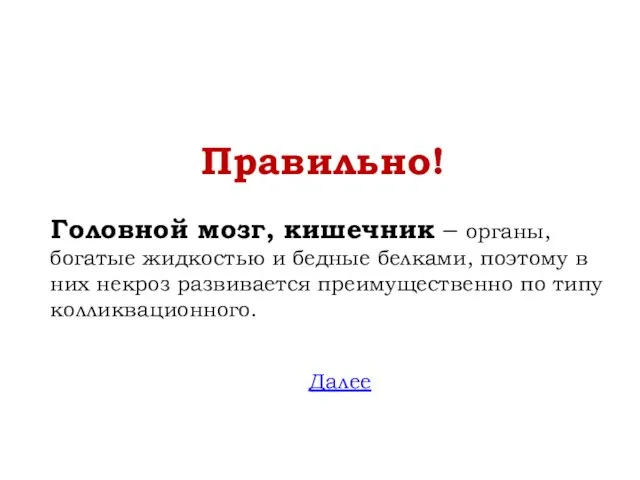 Правильно! Головной мозг, кишечник – органы, богатые жидкостью и бедные белками, поэтому в