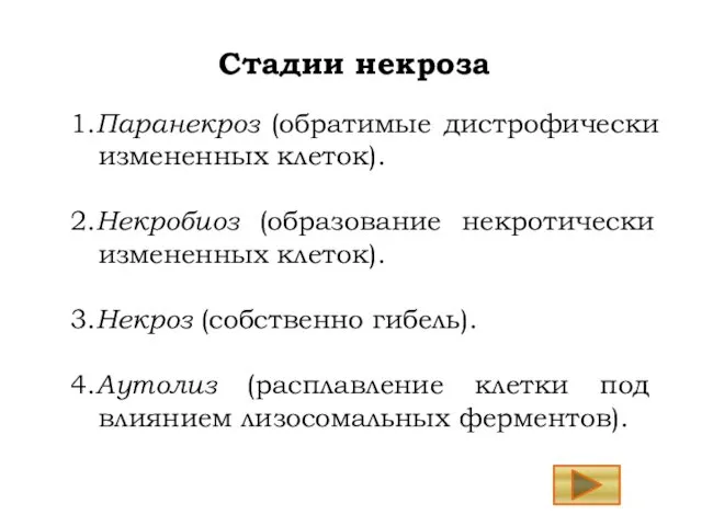 1.Паранекроз (обратимые дистрофически измененных клеток). 2.Некробиоз (образование некротически измененных клеток). 3.Некроз (собственно гибель).