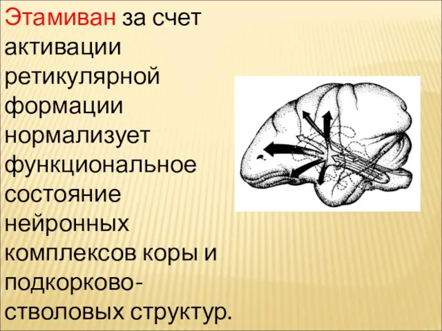 Этамиван за счет активации ретикулярной формации нормализует функциональное состояние нейронных комплексов коры и подкорково-стволовых структур.