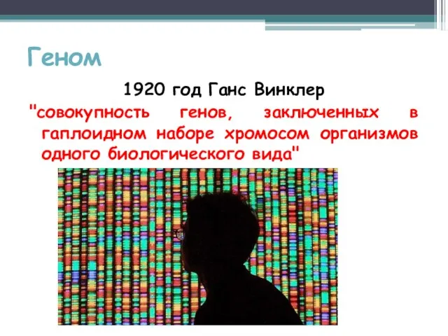 Геном 1920 год Ганс Винклер "совокупность генов, заключенных в гаплоидном наборе хромосом организмов одного биологического вида"