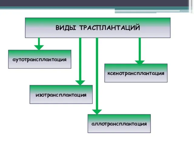 ВИДЫ ТРАСПЛАНТАЦИЙ аутотрансплантация изотрансплантация аллотрансплантация ксенотрансплантация