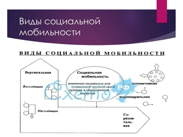 Виды социальной мобильности