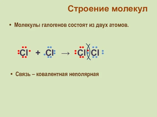 Молекулы галогенов состоят из двух атомов. Строение молекул Связь – ковалентная неполярная