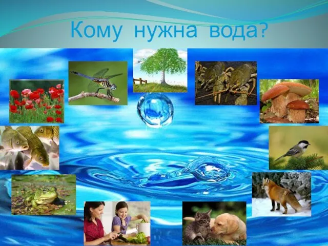 Кому нужна вода?