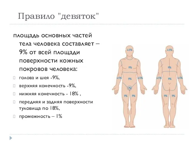 Правило "девяток" площадь основных частей тела человека составляет – 9%