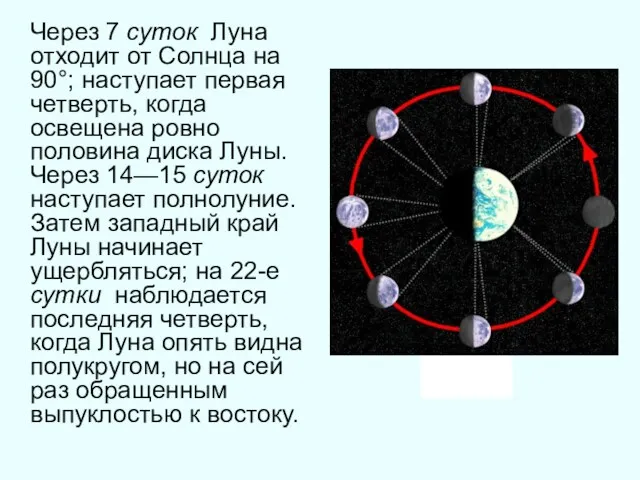 Через 7 суток Луна отходит от Солнца на 90°; наступает