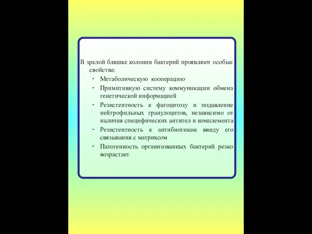 В зрелой бляшке колонии бактерий проявляют особые свойства: Метаболическую кооперацию