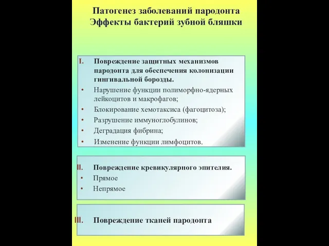 Патогенез заболеваний пародонта Эффекты бактерий зубной бляшки Повреждение защитных механизмов