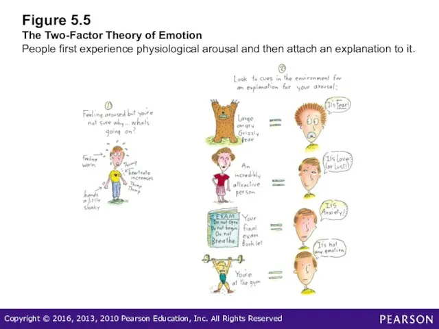 Figure 5.5 The Two-Factor Theory of Emotion People first experience physiological arousal and