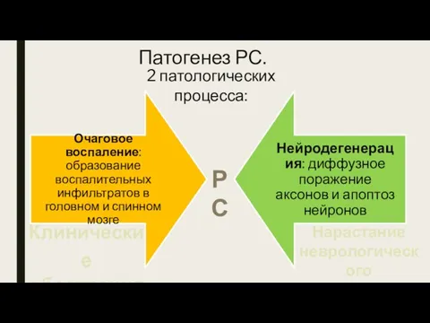 Патогенез РС. 2 патологических процесса: Клинические обострения Нарастание неврологического дефицита РС