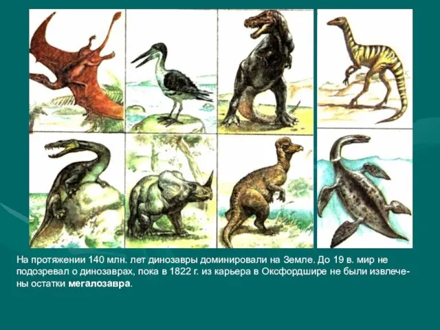 На протяжении 140 млн. лет динозавры доминировали на Земле. До