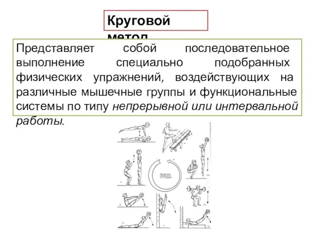 Круговой метод Представляет собой последовательное выполнение специально подобранных физических упражнений,