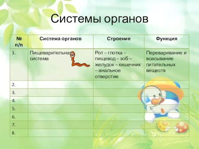 Системы органов