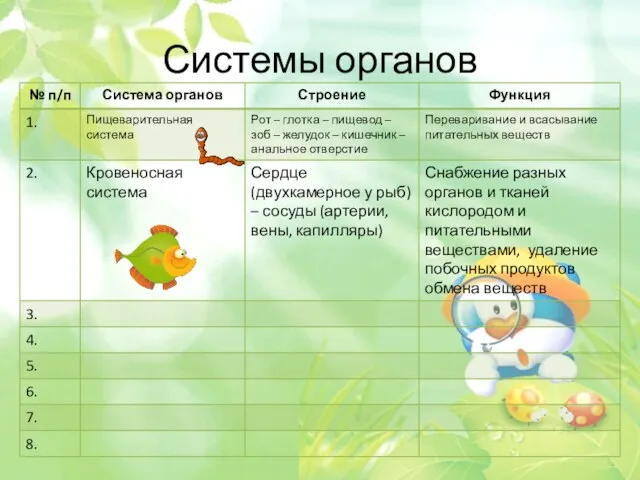 Системы органов