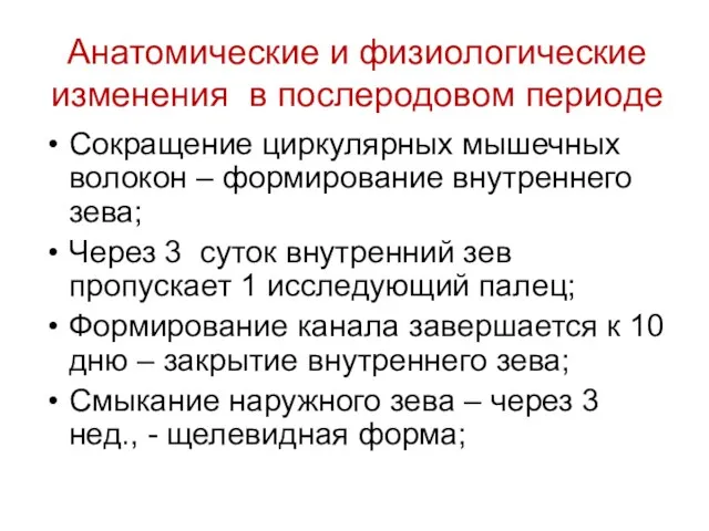 Сокращение циркулярных мышечных волокон – формирование внутреннего зева; Через 3