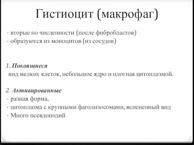 Гистиоцит (макрофаг) вторые по численности (после фибробластов) образуются из моноцитов