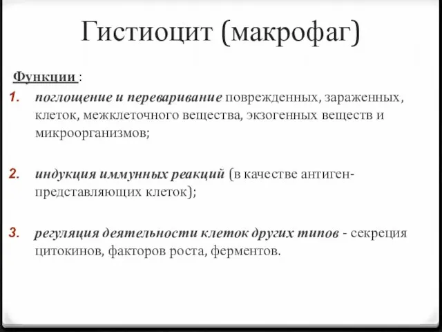 Гистиоцит (макрофаг) Функции : поглощение и переваривание поврежденных, зараженных, клеток,