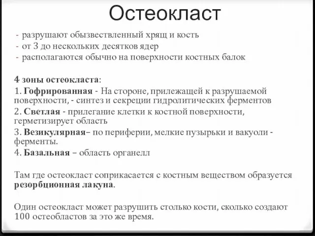 Остеокласт разрушают обызвествленный хрящ и кость от 3 до нескольких