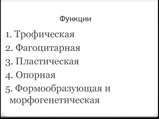 Функции 1. Трофическая 2. Фагоцитарная 3. Пластическая 4. Опорная 5. Формообразующая и морфогенетическая