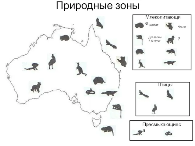 Природные зоны Млекопитающие Вомбат Древесный кенгуру Коала ? Птицы Пресмыкающиеся