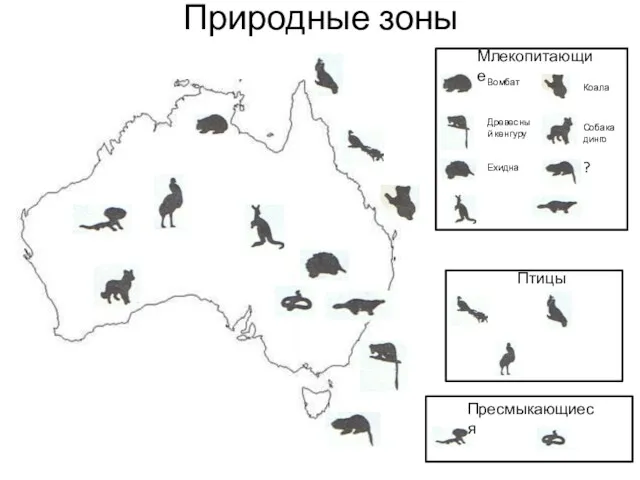 Природные зоны Млекопитающие Вомбат Древесный кенгуру Ехидна Коала Собака динго ? Птицы Пресмыкающиеся