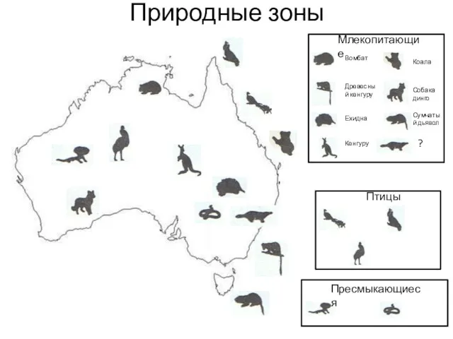 Природные зоны Млекопитающие Вомбат Древесный кенгуру Ехидна Кенгуру Коала Собака динго Сумчатый дьявол ? Птицы Пресмыкающиеся