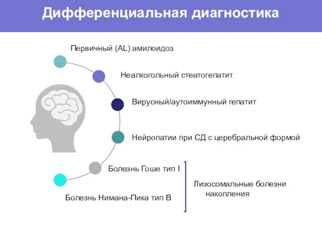 Лизосомальные болезни накопления Дифференциальная диагностика Первичный (AL) амилоидоз Неалкогольный стеатогепатит