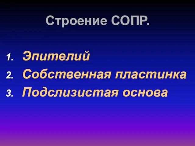 Строение СОПР. Эпителий Собственная пластинка Подслизистая основа