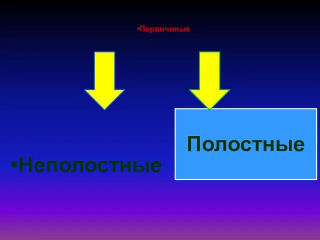 Первичнные Неполостные