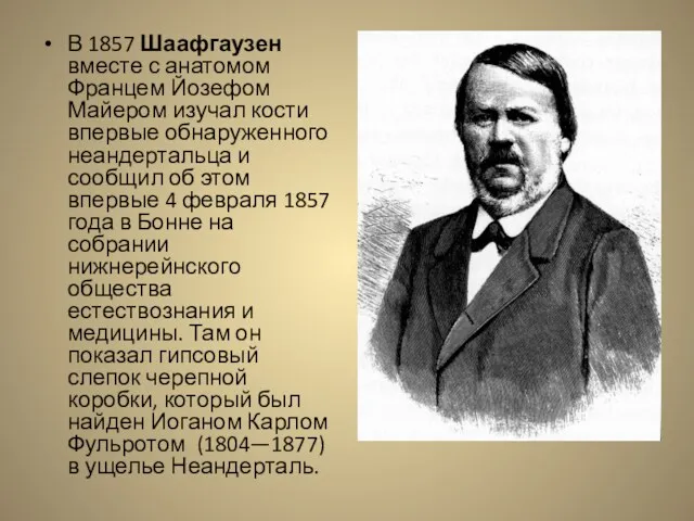 В 1857 Шаафгаузен вместе с анатомом Францем Йозефом Майером изучал кости впервые обнаруженного