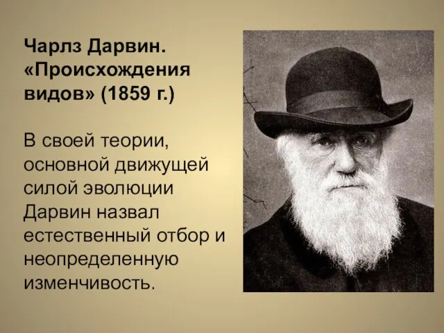 Чарлз Дарвин. «Происхождения видов» (1859 г.) В своей теории, основной движущей силой эволюции