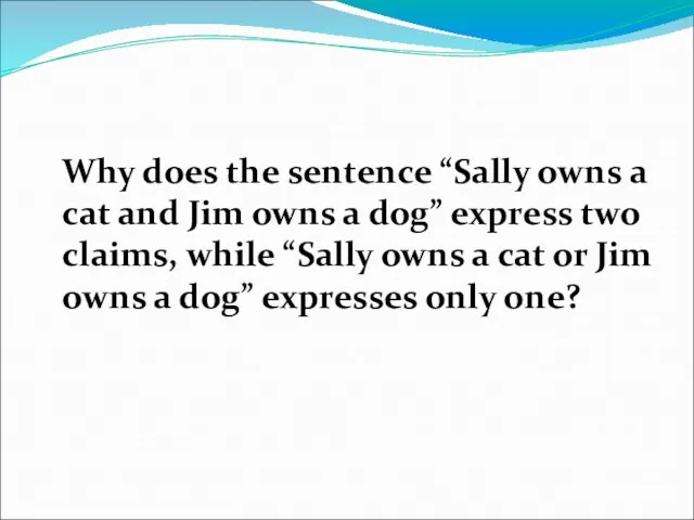 Why does the sentence “Sally owns a cat and Jim owns a dog”