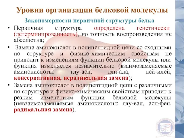 Уровни организации белковой молекулы Закономерности первичной структуры белка Первичная структура