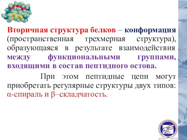 Вторичная структура белков – конформация (пространственная трехмерная структура), образующаяся в