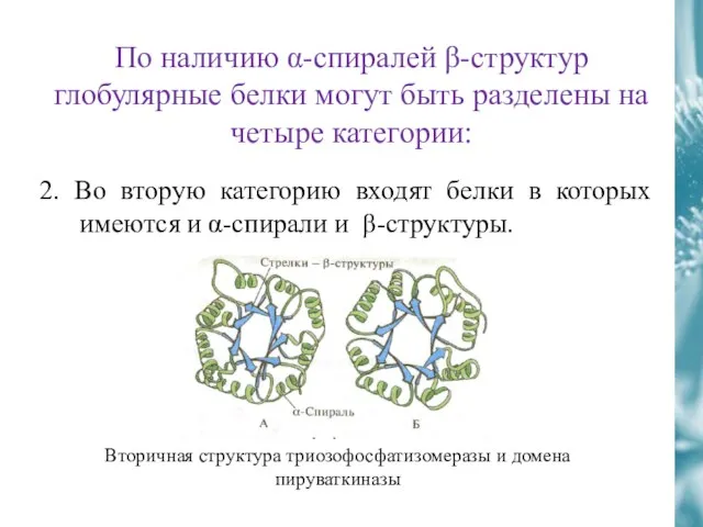 По наличию α-спиралей β-структур глобулярные белки могут быть разделены на