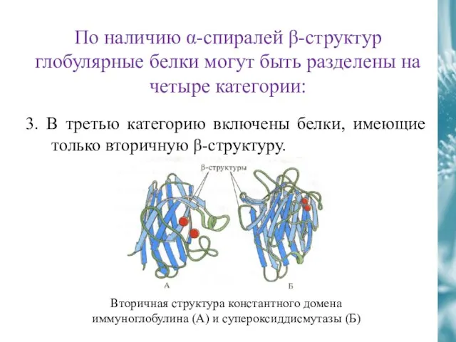 По наличию α-спиралей β-структур глобулярные белки могут быть разделены на