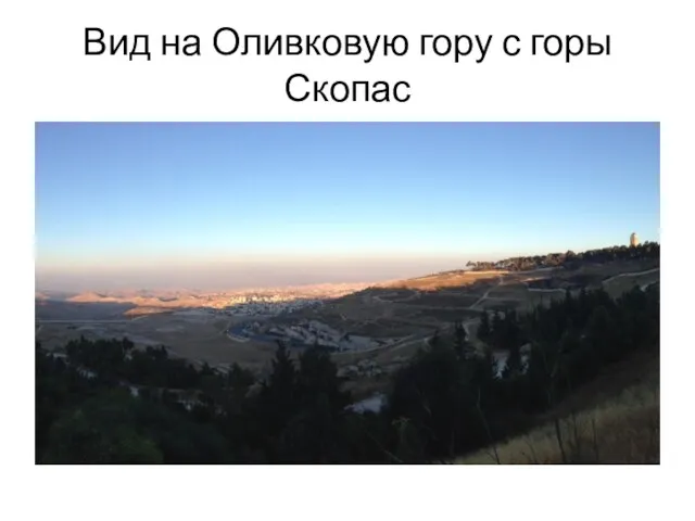 Вид на Оливковую гору с горы Скопас