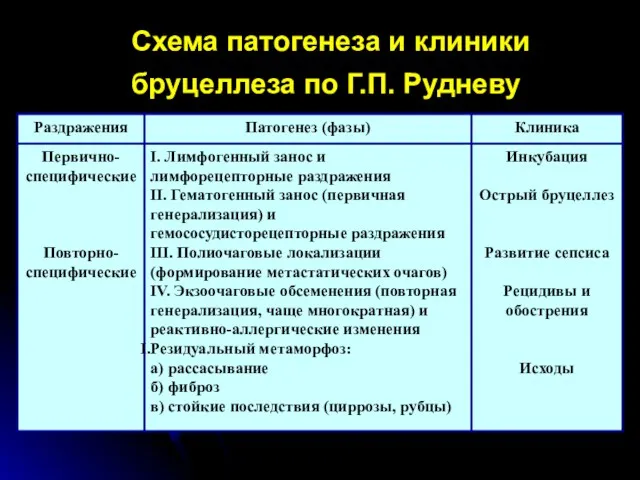 Схема патогенеза и клиники бруцеллеза по Г.П. Рудневу