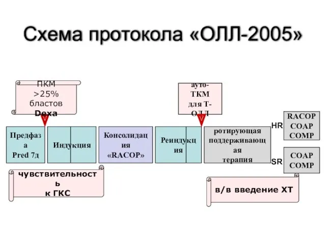 Схема протокола «ОЛЛ-2005»