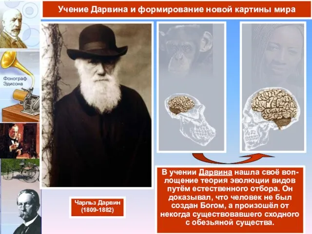 В учении Дарвина нашла своё воп-лощение теория эволюции видов путём