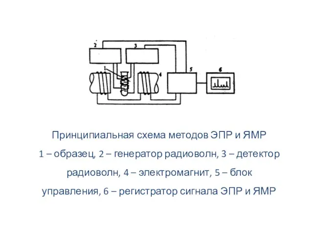 Принципиальная схема методов ЭПР и ЯМР 1 – образец, 2