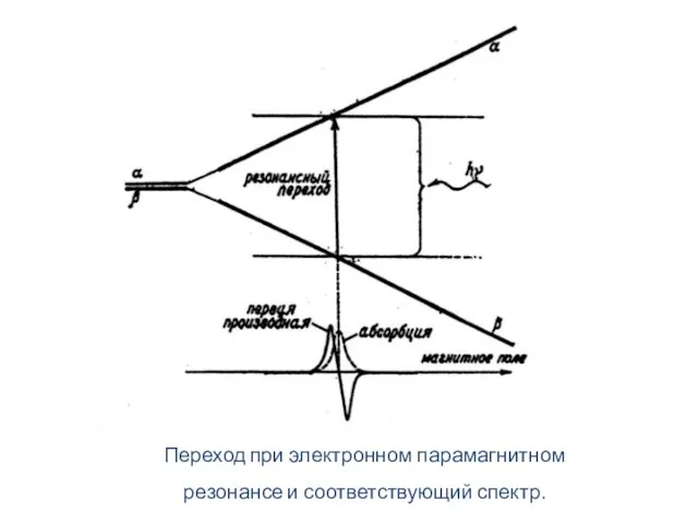 Переход при электронном парамагнитном резонансе и соответствующий спектр.