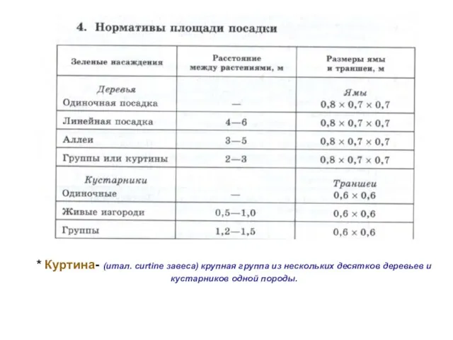 * Куртина- (итал. curtine завеса) крупная группа из нескольких десятков деревьев и кустарников одной породы.