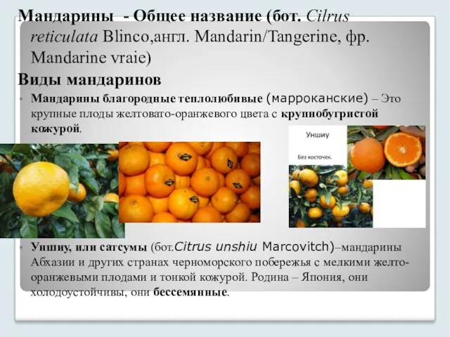 Мандарины - Общее название (бот. Cilrus reticulata Blinco,англ. Mandarin/Tangerine, фр.