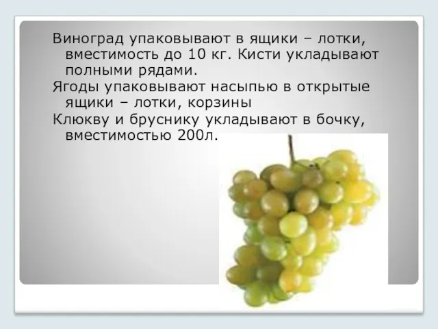 Виноград упаковывают в ящики – лотки, вместимость до 10 кг.